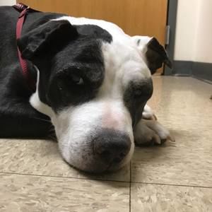 Meet your Posher, Rob